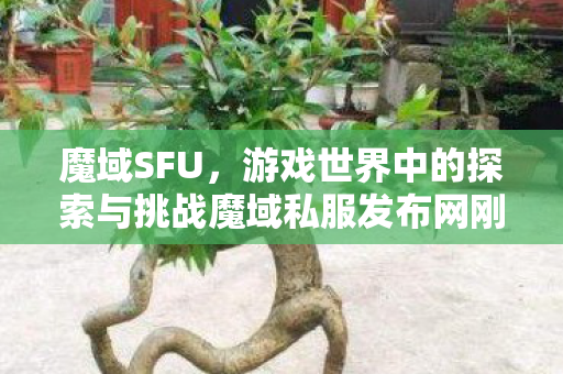 魔域SFU，游戏世界中的探索与挑战魔域私服发布网刚刚开一秒