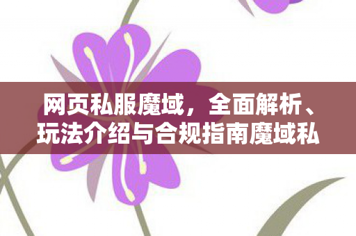 网页私服魔域，全面解析、玩法介绍与合规指南魔域私服发布网刚刚开一秒