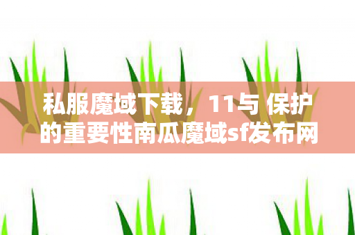 私服魔域下载，11与 保护的重要性南瓜魔域sf发布网