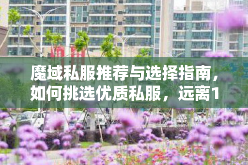 魔域私服推荐与选择指南，如何挑选优质私服，远离11？魔域私服登陆器