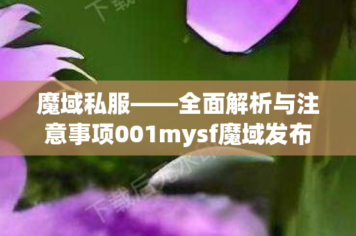 魔域私服——全面解析与注意事项001mysf魔域发布网