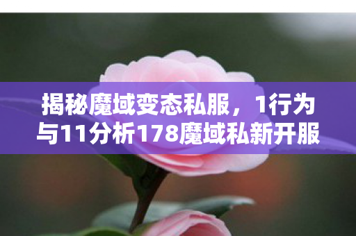 揭秘魔域变态私服，1行为与11分析178魔域私新开服发布网