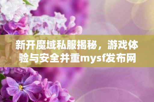新开魔域私服揭秘，游戏体验与安全并重mysf发布网