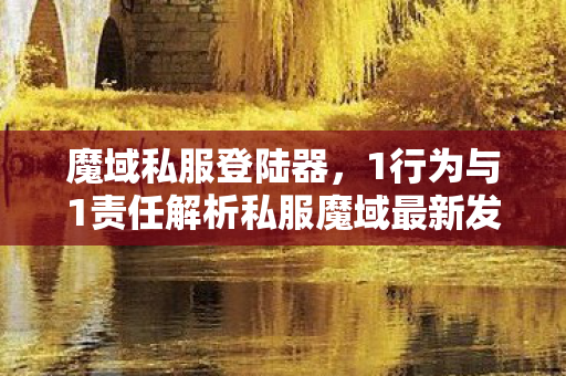 魔域私服登陆器，1行为与1责任解析私服魔域最新发布网