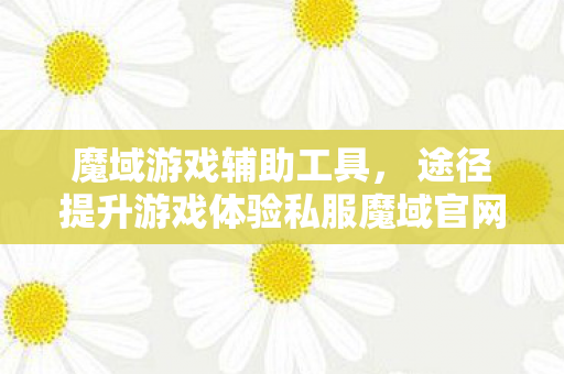 魔域游戏辅助工具， 途径提升游戏体验私服魔域官网
