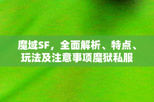 魔域SF，全面解析、特点、玩法及注意事项魔狱私服