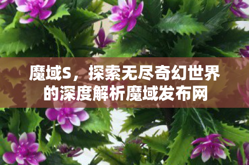 魔域S，探索无尽奇幻世界的深度解析魔域发布网