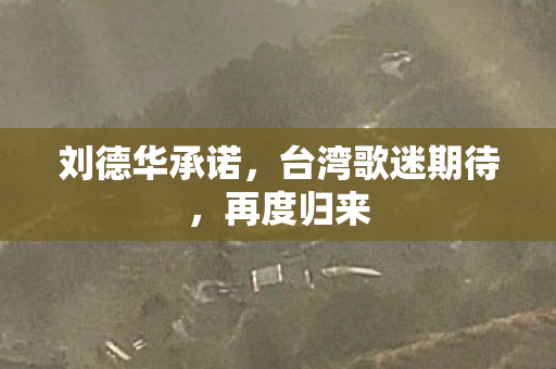 刘德华承诺，台湾歌迷期待，再度归来