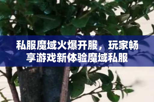 私服魔域火爆开服，玩家畅享游戏新体验魔域私服