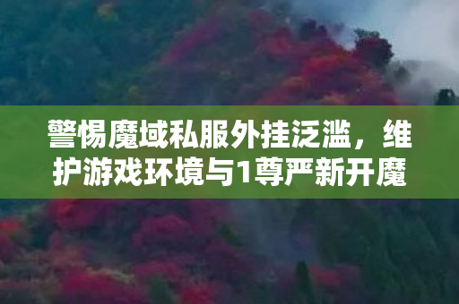 警惕魔域私服外挂泛滥，维护游戏环境与1尊严新开魔域网址