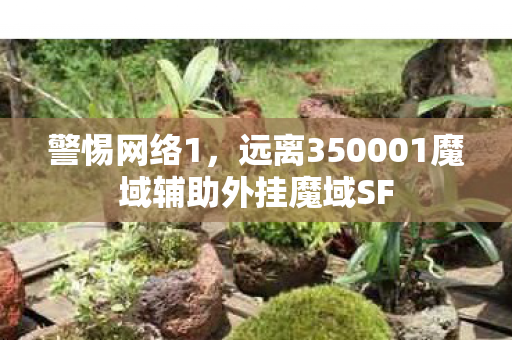 警惕网络1，远离350001魔域辅助外挂魔域SF