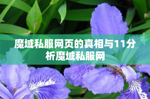 魔域私服网页的真相与11分析魔域私服网