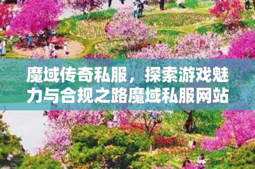魔域传奇私服，探索游戏魅力与合规之路魔域私服网站