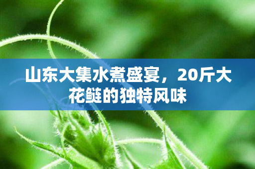 山东大集水煮盛宴，20斤大花鲢的独特风味