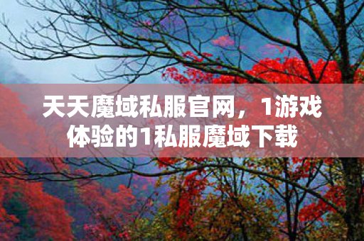 天天魔域私服官网，1游戏体验的1私服魔域下载