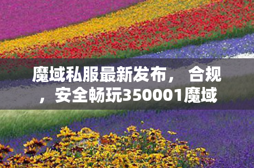 魔域私服最新发布， 合规，安全畅玩350001魔域