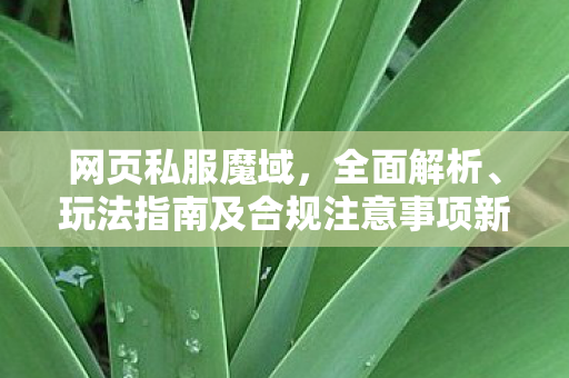 网页私服魔域，全面解析、玩法指南及合规注意事项新开魔域sf网站
