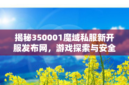 揭秘350001魔域私服新开服发布网，游戏探索与安全指南魔域私服发布网刚刚开一秒
