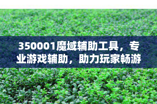 350001魔域辅助工具，专业游戏辅助，助力玩家畅游魔域世界新开魔域sf