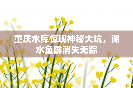 重庆水库惊现神秘大坑，湖水鱼群消失无踪