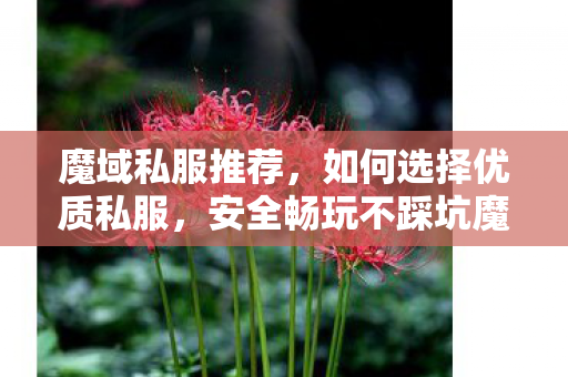 魔域私服推荐，如何选择优质私服，安全畅玩不踩坑魔域私服网站