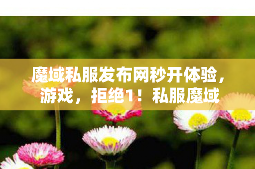 魔域私服发布网秒开体验， 游戏，拒绝1！私服魔域