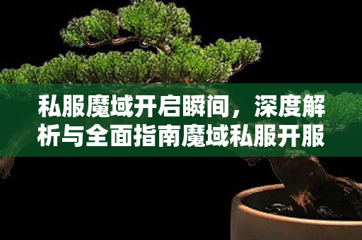 私服魔域开启瞬间，深度解析与全面指南魔域私服开服发布网外挂