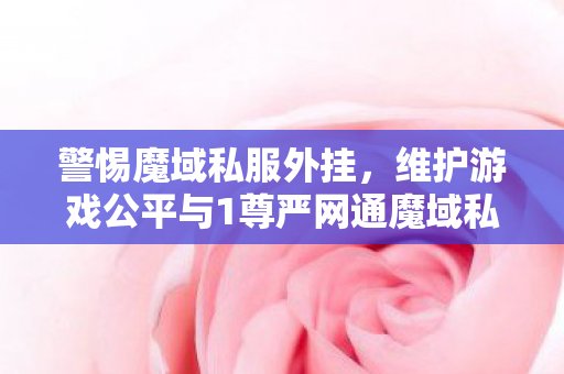 警惕魔域私服外挂，维护游戏公平与1尊严网通魔域私服发布网