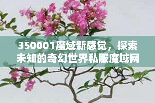 350001魔域新感觉，探索未知的奇幻世界私服魔域网站