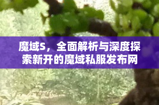 魔域S，全面解析与深度探索新开的魔域私服发布网