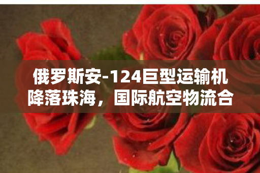俄罗斯安-124巨型运输机降落珠海，国际航空物流合作再添新篇章