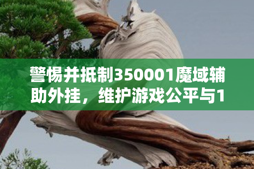 警惕并抵制350001魔域辅助外挂，维护游戏公平与1尊严350001魔域辅助