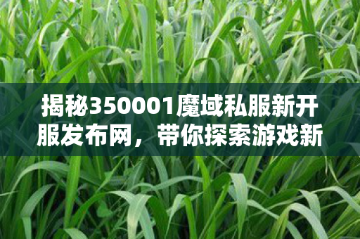 揭秘350001魔域私服新开服发布网，带你探索游戏新天地！sf魔域