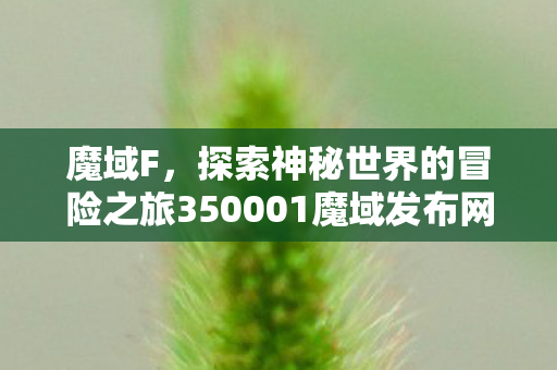 魔域F，探索神秘世界的冒险之旅350001魔域发布网新开服