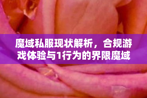 魔域私服现状解析，合规游戏体验与1行为的界限魔域私服一条龙