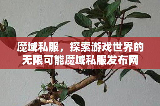 魔域私服，探索游戏世界的无限可能魔域私服发布网