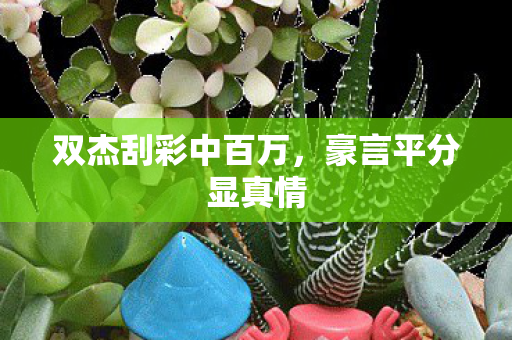 双杰刮彩中百万，豪言平分显真情