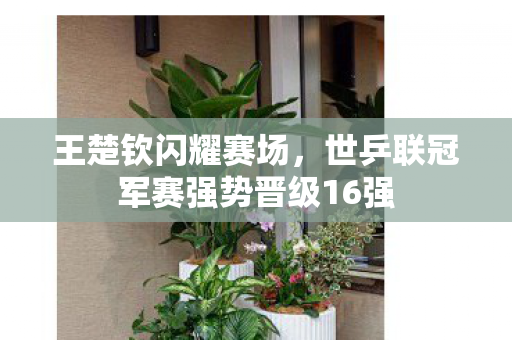 王楚钦闪耀赛场，世乒联冠军赛强势晋级16强