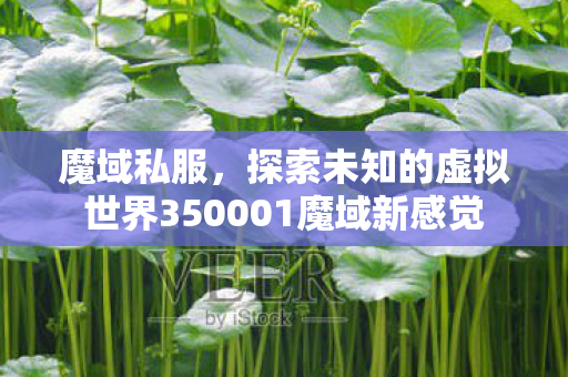 魔域私服，探索未知的虚拟世界350001魔域新感觉