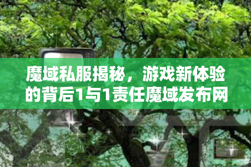 魔域私服揭秘，游戏新体验的背后1与1责任魔域发布网