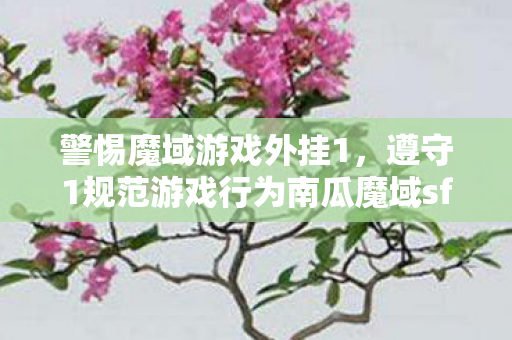 警惕魔域游戏外挂1，遵守1规范游戏行为南瓜魔域sf发布网