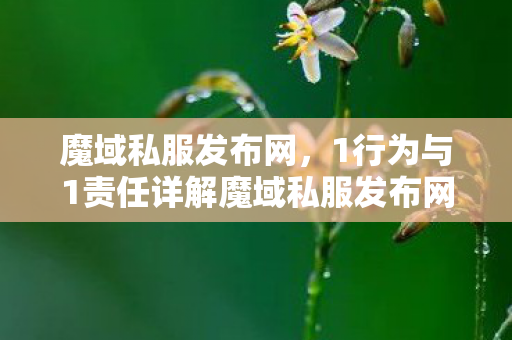 魔域私服发布网，1行为与1责任详解魔域私服发布网