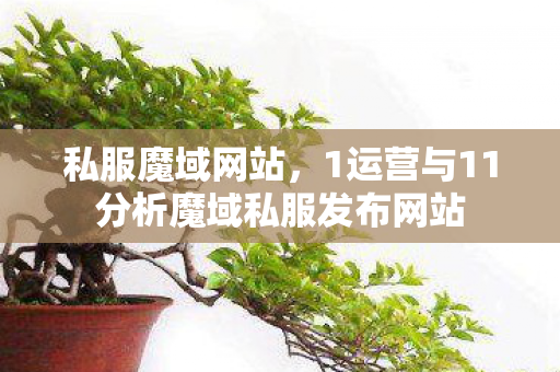 私服魔域网站，1运营与11分析魔域私服发布网站