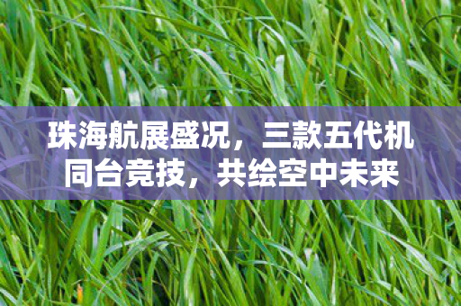 珠海航展盛况，三款五代机同台竞技，共绘空中未来