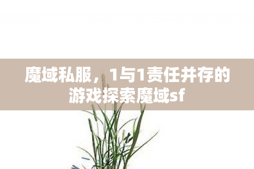 魔域私服，1与1责任并存的游戏探索魔域sf