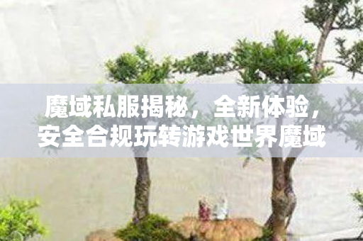 魔域私服揭秘，全新体验，安全合规玩转游戏世界魔域sf网