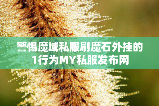 警惕魔域私服刷魔石外挂的1行为MY私服发布网
