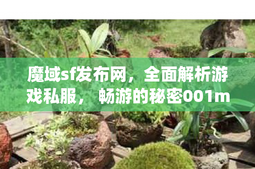 魔域sf发布网，全面解析游戏私服， 畅游的秘密001mysf魔域发布网
