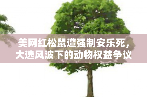 美网红松鼠遭强制安乐死，大选风波下的动物权益争议