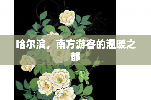 哈尔滨，南方游客的温暖之都